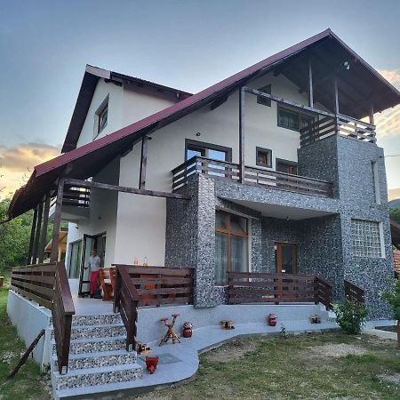 Pensiunea Ricky Capatineni-Ungureni ภายนอก รูปภาพ